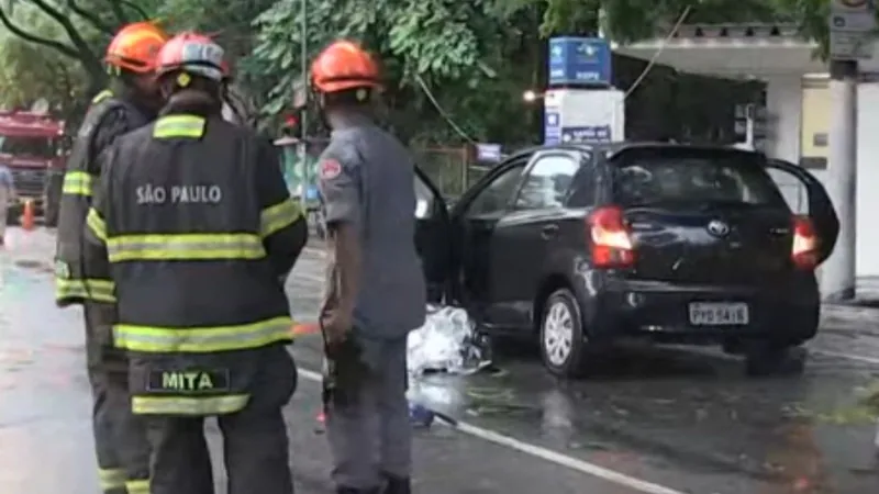 Temporal causa morte, quedas de árvores e vento forte pelo 2º dia seguido em SP