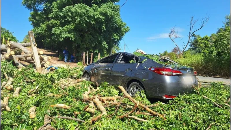 Homem morre atingido por árvore durante tempestade em Itupeva (SP)