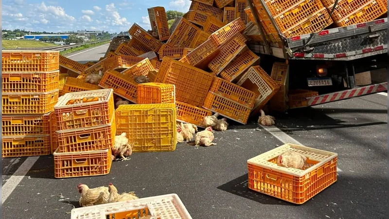 Galinhas se espalham na pista após tombamento de caminhão na SP-330