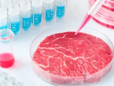 Carne de laboratório pode ser a solução para atender a demanda global: você comeria?; assista