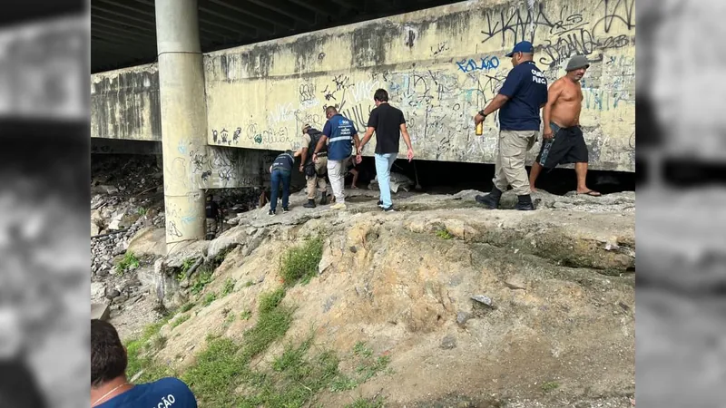 Oito animais são resgatados embaixo viaduto e da ciclovia de São Conrado