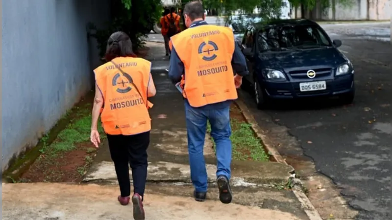 Voluntários durante 3º mutirão de 2024 para combate à dengue em Campinas