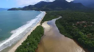 Operação Mata Atlântica em Pé, ação de combate ao desmatamento, vai até o dia 27 de setembro