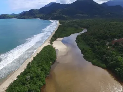 Operação Mata Atlântica em Pé, ação de combate ao desmatamento, vai até o dia 27 de setembro