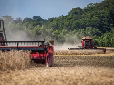 Faturamento do setor de máquinas agrícolas deve cair 25% em 2024; assista à reportagem