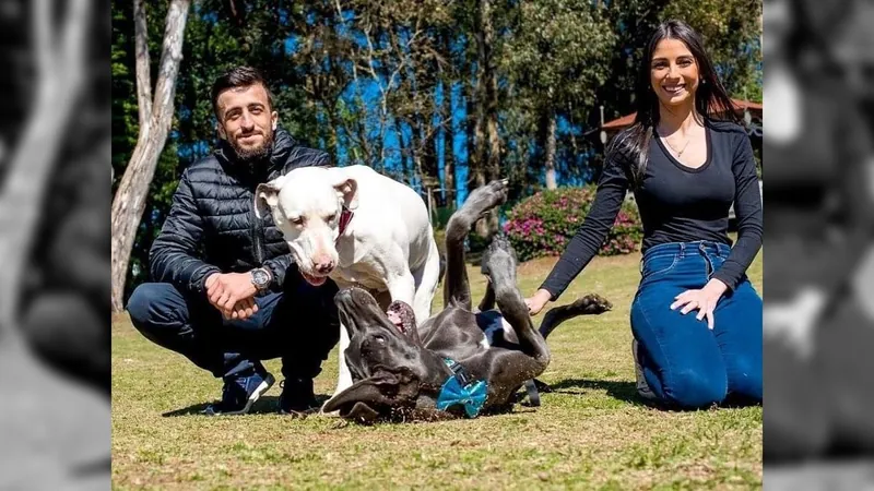 Thomás e Bruna realizam sonho de conviver com os dogues alemães em casa