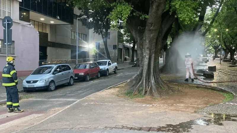 Bloco de carnaval tem enxame de abelhas em Belo Horizonte