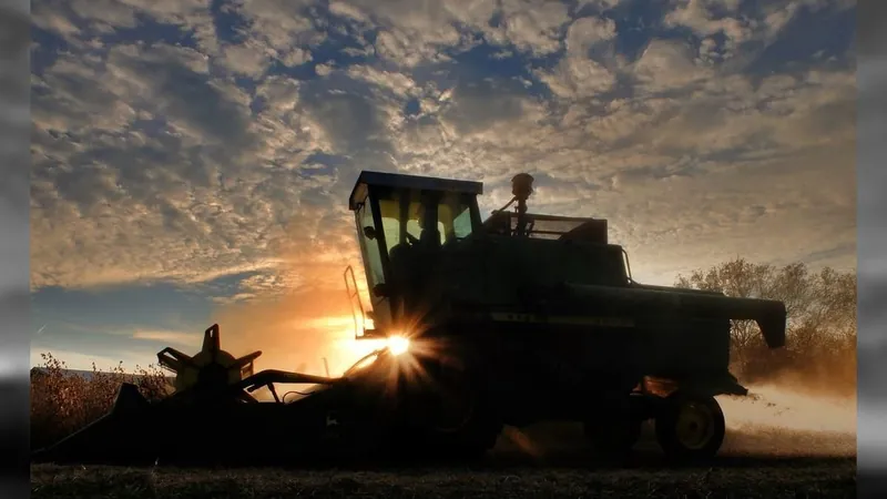 O que o setor de agronegócio exige do profissional do futuro?