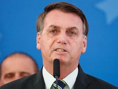 Bolsonaro contou à PF que não sabia que importunar baleia era crime, diz defesa