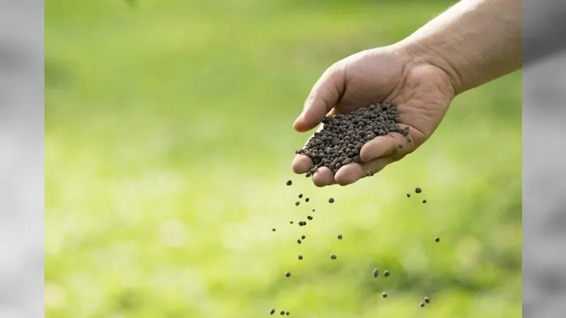 Vendas de artigos para o agronegócio têm alta acima de 50% em dois estados