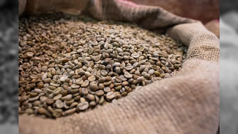 Brasil anuncia que exportará café verde para a Zâmbia