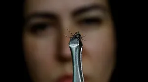 Brasil registra mais de 1 milhão de casos de dengue em 2024
