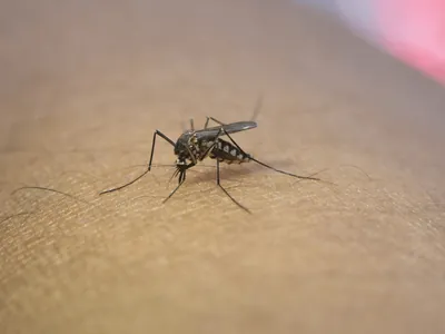 Jacareí realiza orientações de combate à dengue aos moradores do Bandeira Branca