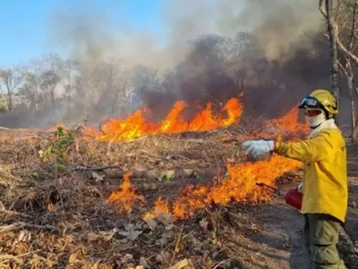 Roraima tem o maior número de incêndios do país