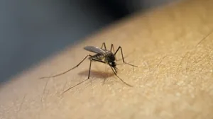 Caçapava confirma mais uma morte por dengue; RM Vale chega em 69 no total