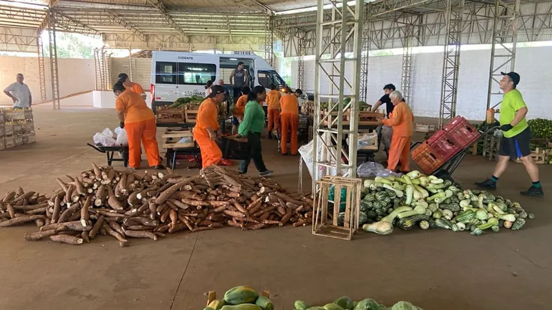 Programa de Aquisição de Alimentos realiza nova entrega de alimentos