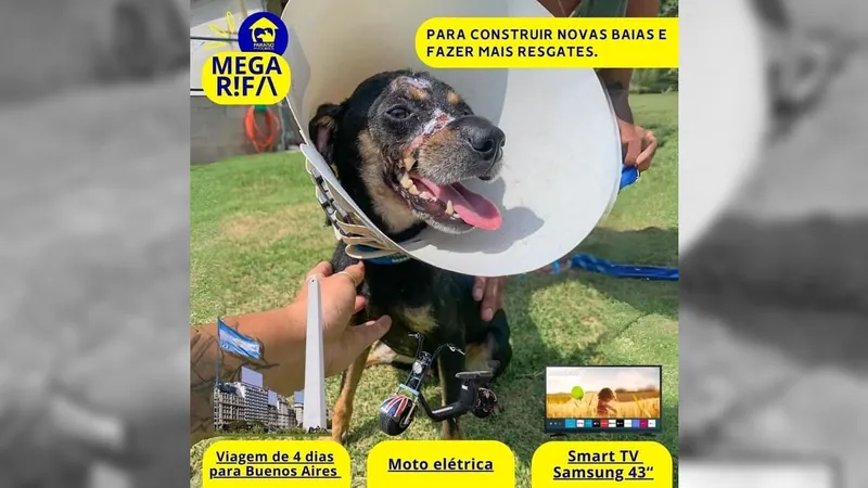 ONG realiza rifa para auxiliar nos gastos do tratamento de animais