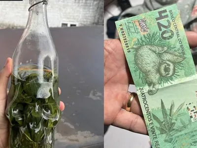 Operação apreende bebida de maconha e cédula falsa de R$ 420 no Piauí