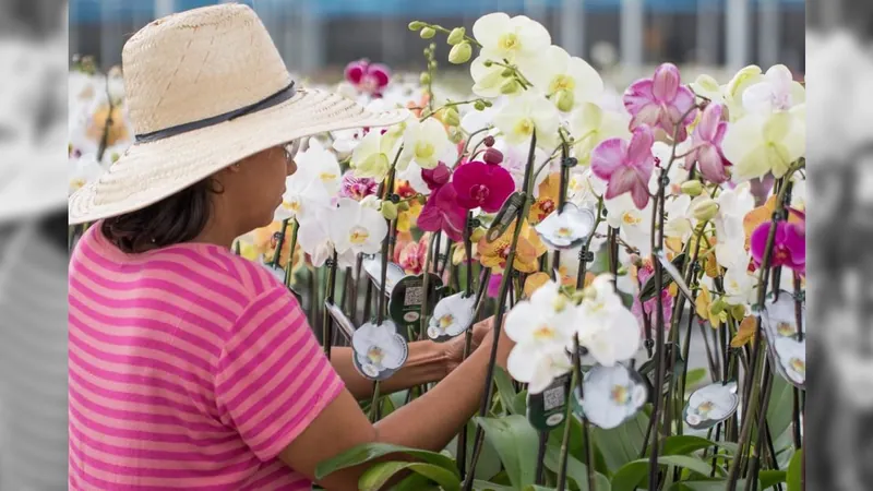 Floricultura é o setor que mais emprega mulheres no agro