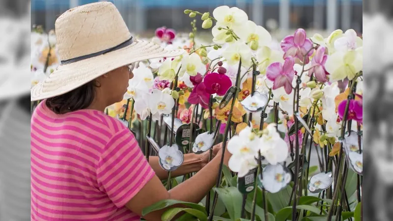 Setor de flores é o que mais emprega mulheres no agronegócio