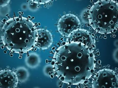 Estudo explica por que algumas pessoas não se infectam com o vírus da Covid-19