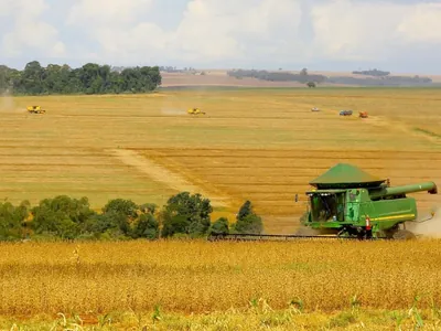 Clima contribui e safra agrícola deve ser a maior da história do Brasil