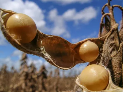 Agricultores aguardam as chuvas para iniciar o plantio da nova safra