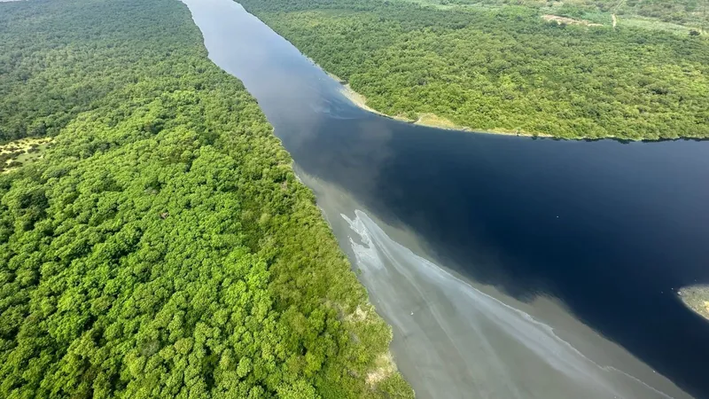 Grande quantidade de óleo no Rio Iguaçu chama atenção de moradores da região