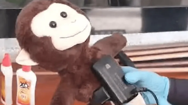 Macaco de pelúcia é encontrado usando tornozeleira eletrônica em MG
