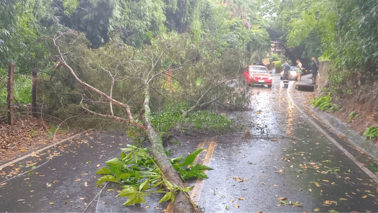 Fortes Chuvas Causam Estragos Em São José Dos Campos E Pindamonhangaba 9374