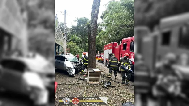 VÍDEO: Motorista morre ao bater contra árvore em São José dos Campos