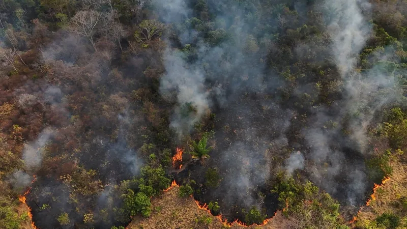 Incêndios florestais voltam a prejudicar a saúde da população em Roraima