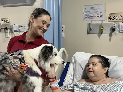 Pacientes do INCA recebem terapia assistida por cães na unidade de Vila Isabel