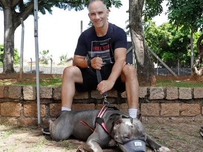 Rio Preto tem 250 cães castrados em dois dias de mutirão