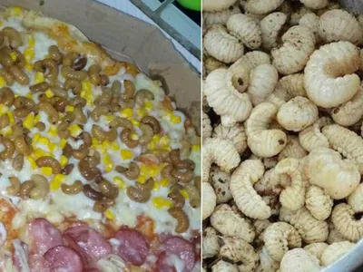 Viscoso, mas gostoso? Pizza de larva de besouro vendida no Maranhão viraliza
