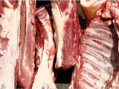 Maior produtor do país, Santa Catarina exporta 68 mil toneladas de carne suína em outubro