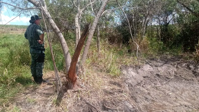 Homem é multado por destruir área de vegetação nativa em Adamantina