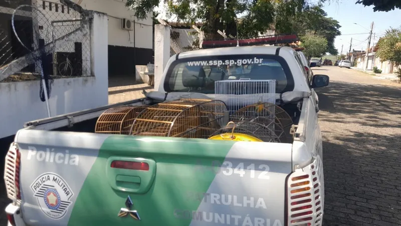 Aves em cativeiro são resgatadas pela PM Ambiental em Cruzeiro