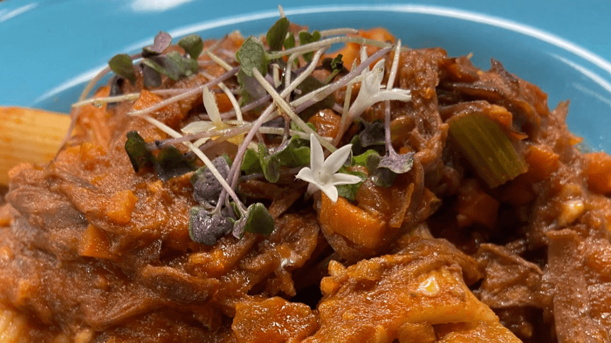 Rigatoni com ragu de costela | Band Receitas