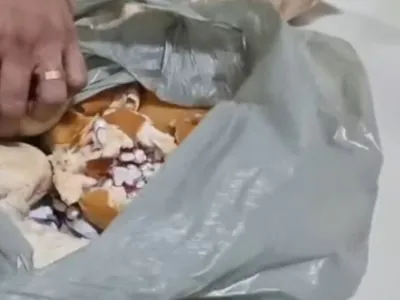 Polícia encontra carga de pão recheado com drogas no Amapá