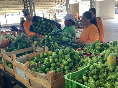 PAA repassa 18 toneladas de alimentos a famílias e entidades de Prudente