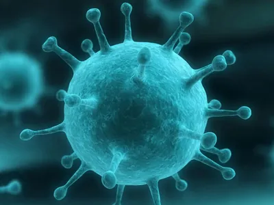  Vinhedo registra primeira morte por gripe em 2024
