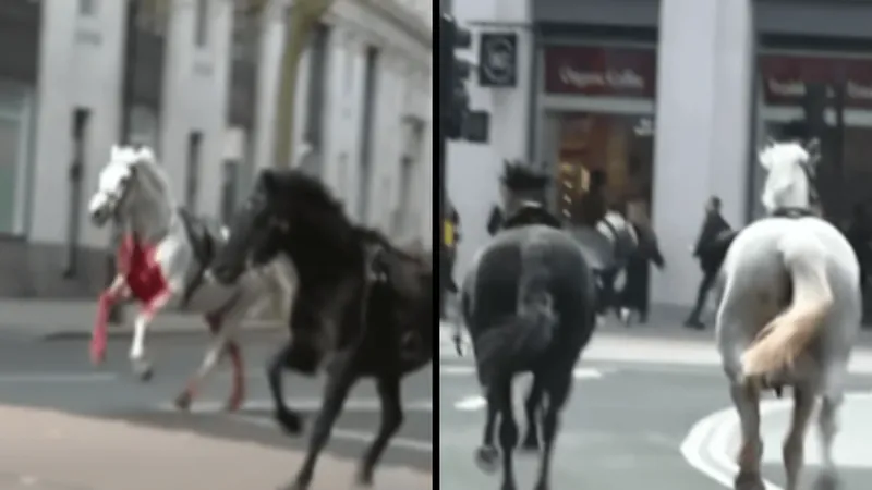 Cavalos foguem do palácio do rei da Inglaterra e saem correndo pelas ruas