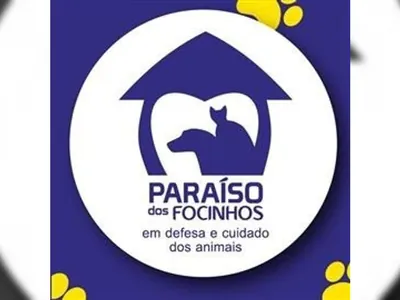 ONG Paraíso dos Focinhos pede doações para cadelas abandonadas no Recreio
