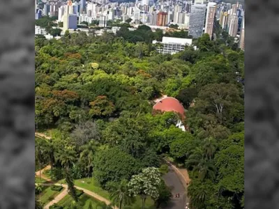 Belo Horizonte recebe título de Cidade Árvore do Mundo