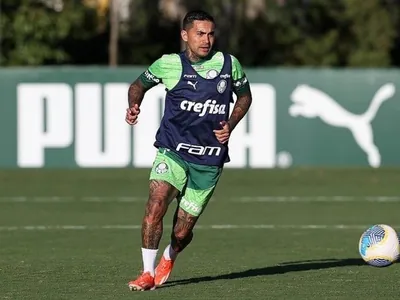 Palmeiras não deve ter Dudu em jogo da Libertadores; veja nova data de retorno