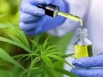 ALMG discute possibilidade de distribuir remédios à base de cannabis pelo SUS