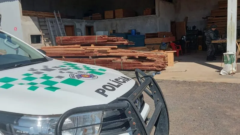 Os policiais encontraram madeiras no depósito sem licença