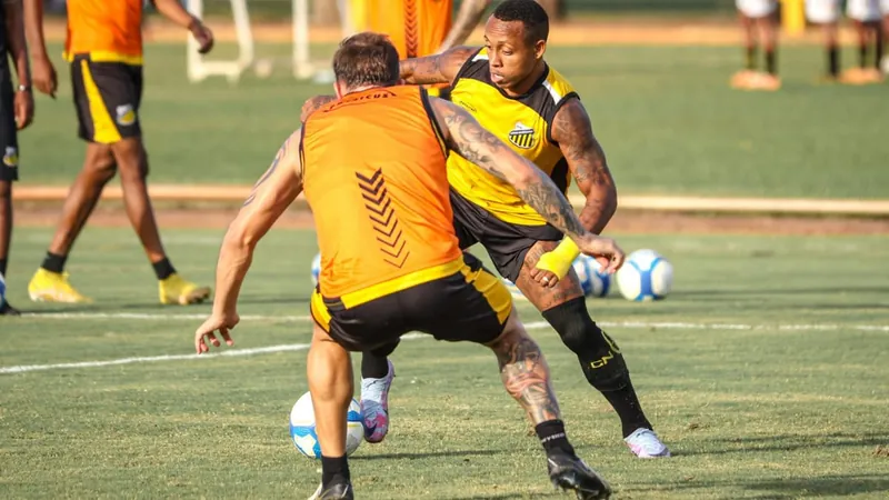 Tigre do Vale fez último treino em Novo Horizonte