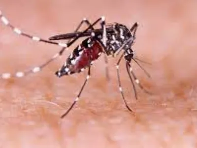 Jaú confirma mais três mortes por dengue este ano